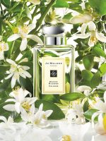 Adverting image of Orange Blossom By Jo Malone 100ml Cologne Unisex Perfume