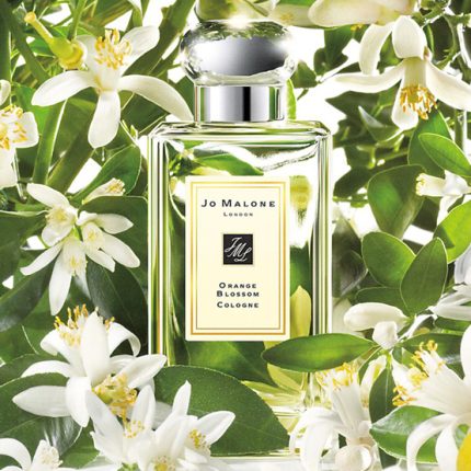 Adverting image of Orange Blossom By Jo Malone 100ml Cologne Unisex Perfume